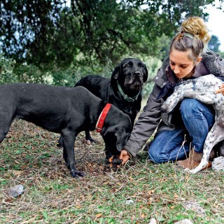 Η πρώτη ελληνίδα κυνηγός-τρούφας