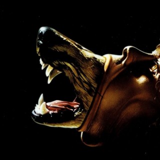 Λόγω Τιμής, Λόγω Κραυγής, Λόγω Τέχνης