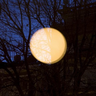 «Η Μύγα και η Μολότοφ», ένα διήγημα της Παυλίνας Παμπούδη από τη συλλογή «40 Κάπως Περίεργες Ιστορίες»