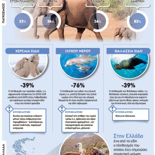 Τα μισά άγρια ζώα του πλανήτη εξαφανίστηκαν μέσα σε 40 χρόνια