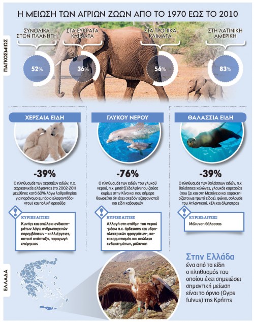 Τα μισά άγρια ζώα του πλανήτη εξαφανίστηκαν μέσα σε 40 χρόνια