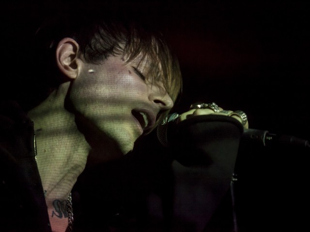 Φονιάδες των συναυλιών, φωτογράφοι