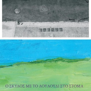 Σήμερα στο Φωταγωγό θα έρθει ένας σκύλος με το λουλούδι στο στόμα