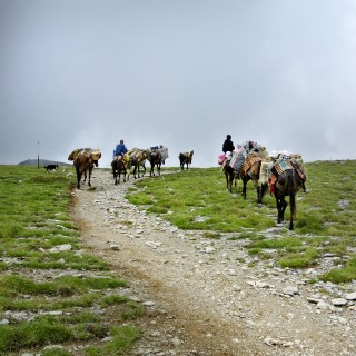 Όλα είναι πιθανά εδώ. Είσαι στον Όλυμπο, είναι θεϊκά.