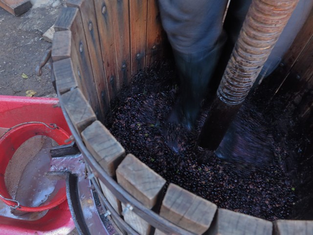 ο αντώνης, η στροφιλιά και το λάδι