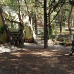 Η σκηνή που «τρομοκρατεί» τους φοιτητές