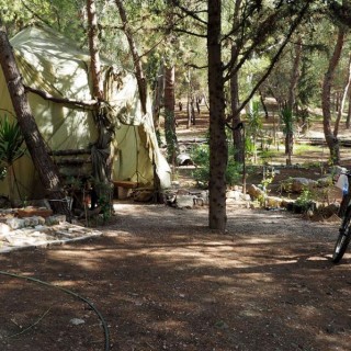 Η σκηνή που «τρομοκρατεί» τους φοιτητές