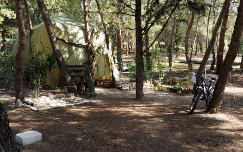 Η σκηνή που «τρομοκρατεί» τους φοιτητές