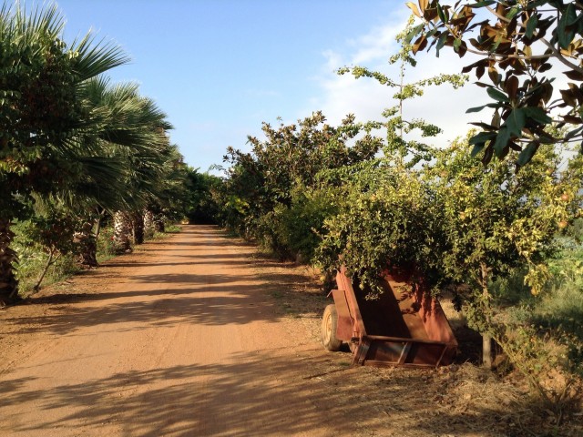 Διακοπές στο Μήτσιγκαν