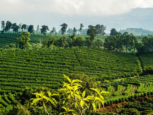 Κόστα Ρίκα: Η «Ελβετία» της Κεντρικής Αμερικής με το υψηλό μορφωτικό επίπεδο