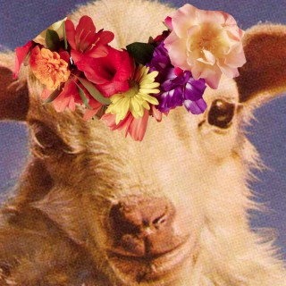 Το Αρνί δεν αντέχει ν’ ακούει για το παπάκι που πάει στην ποταμιά