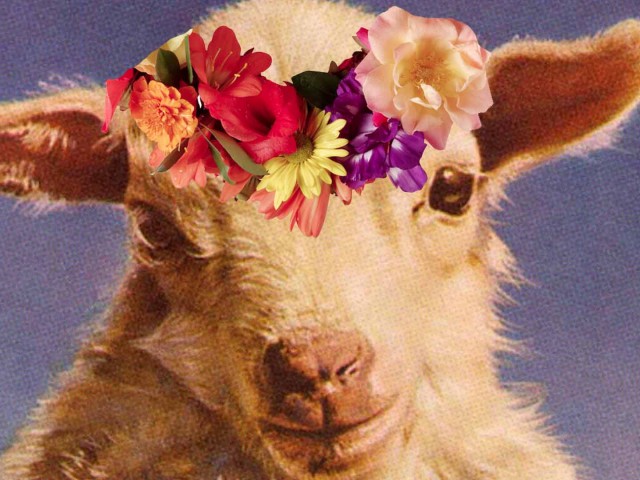 Το Αρνί δεν αντέχει ν’ ακούει για το παπάκι που πάει στην ποταμιά