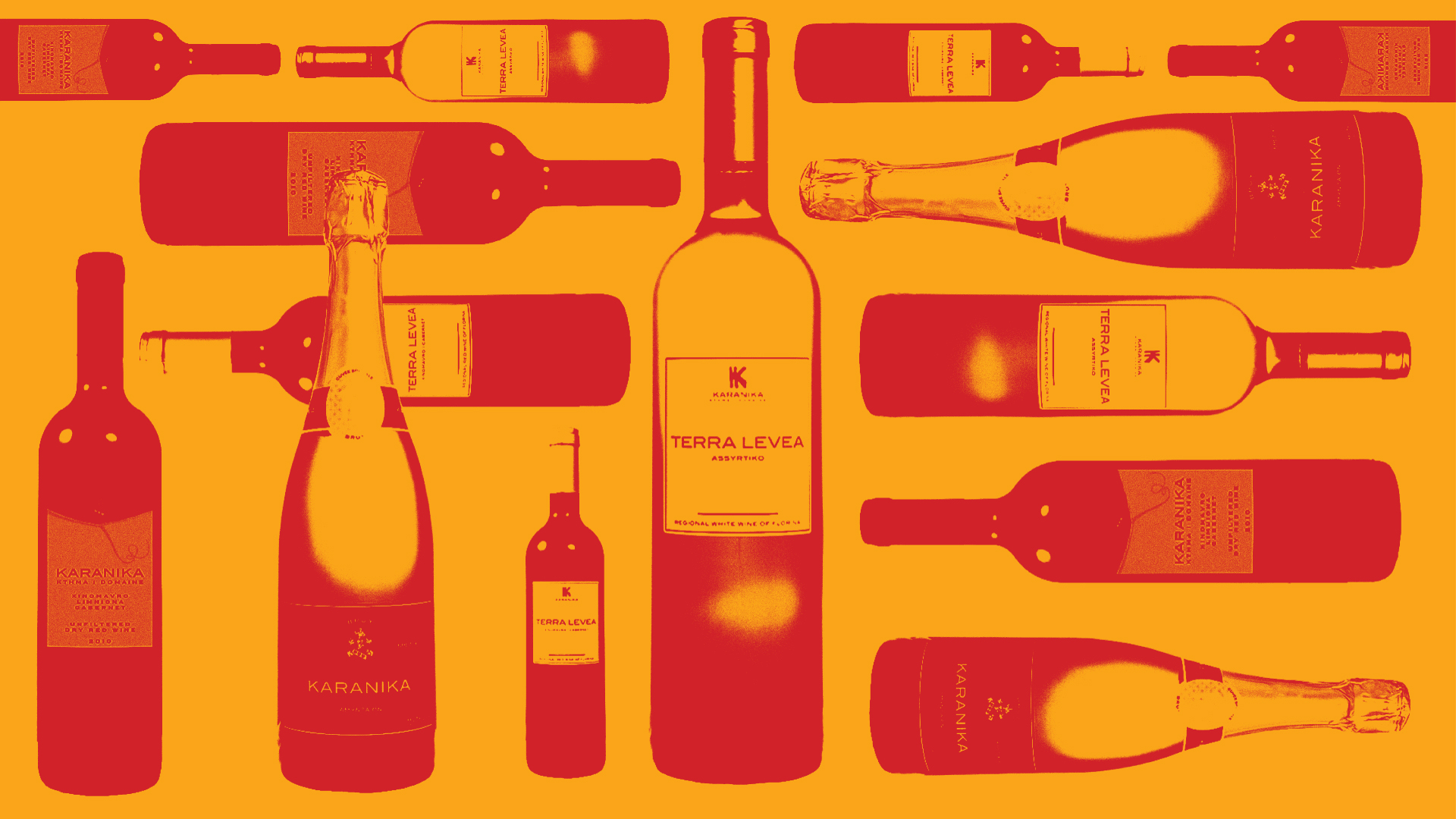 Ένας Ολλανδός στο Αμύνταιο