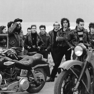 Οι δίσκοι τους στο μικροσκόπιο