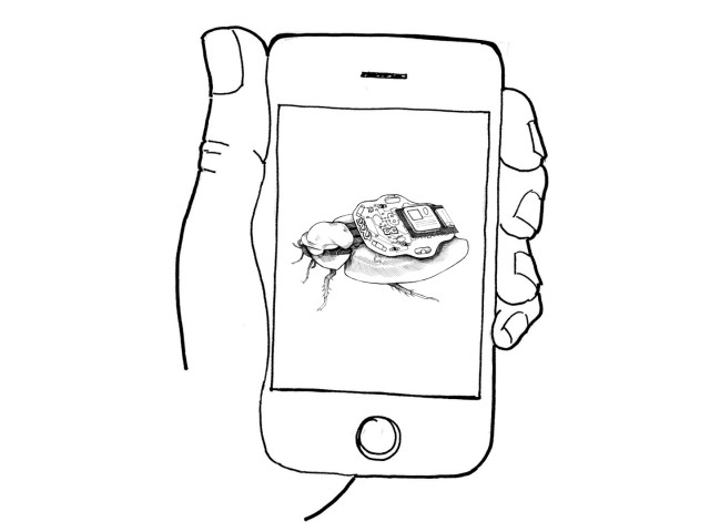 Infonympho #2: Ο κόσμος στο εξωτερικό ακολουθεί τα έντομα