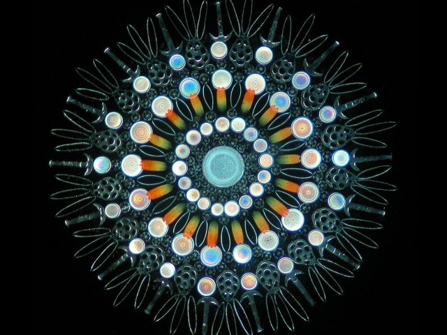 Η τέχνη της φύσης