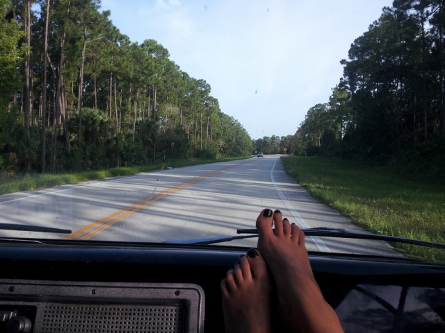 United States of Stella