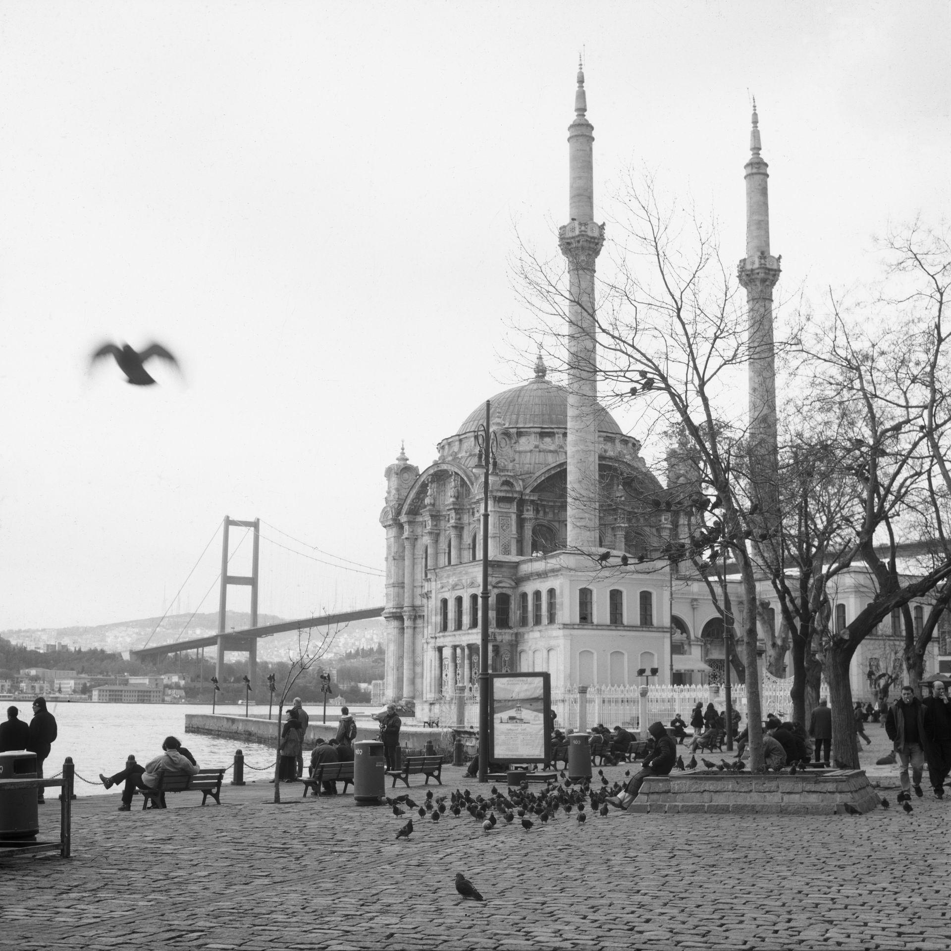 Στο Ορτάκιοϊ