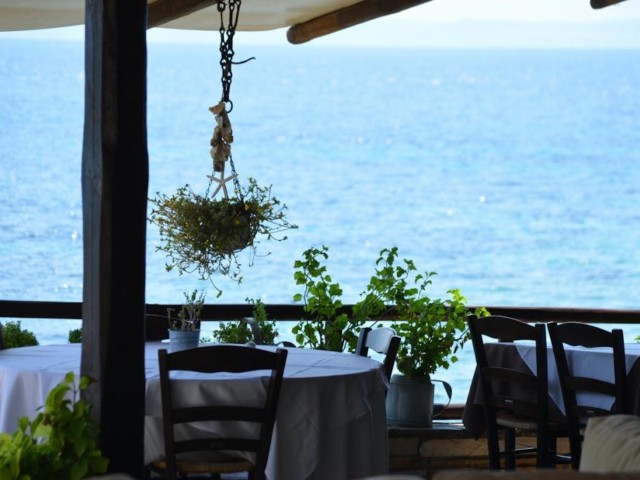 Κι όμως! Υπάρχει τίμια ελληνική καθαρή κουζίνα στη Χαλκιδική